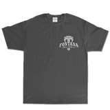 Fountain City (MAX HEAVYWEIGHT 7.5 oz)